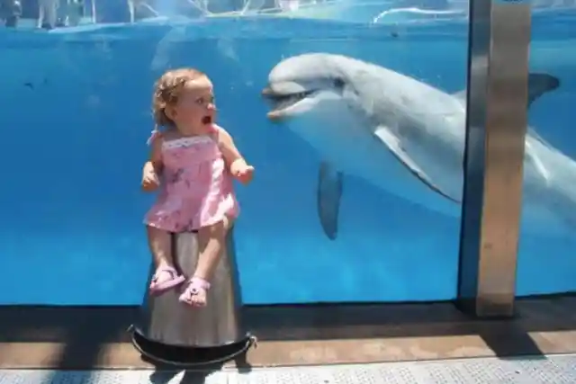 Baby Meet Dolphin
